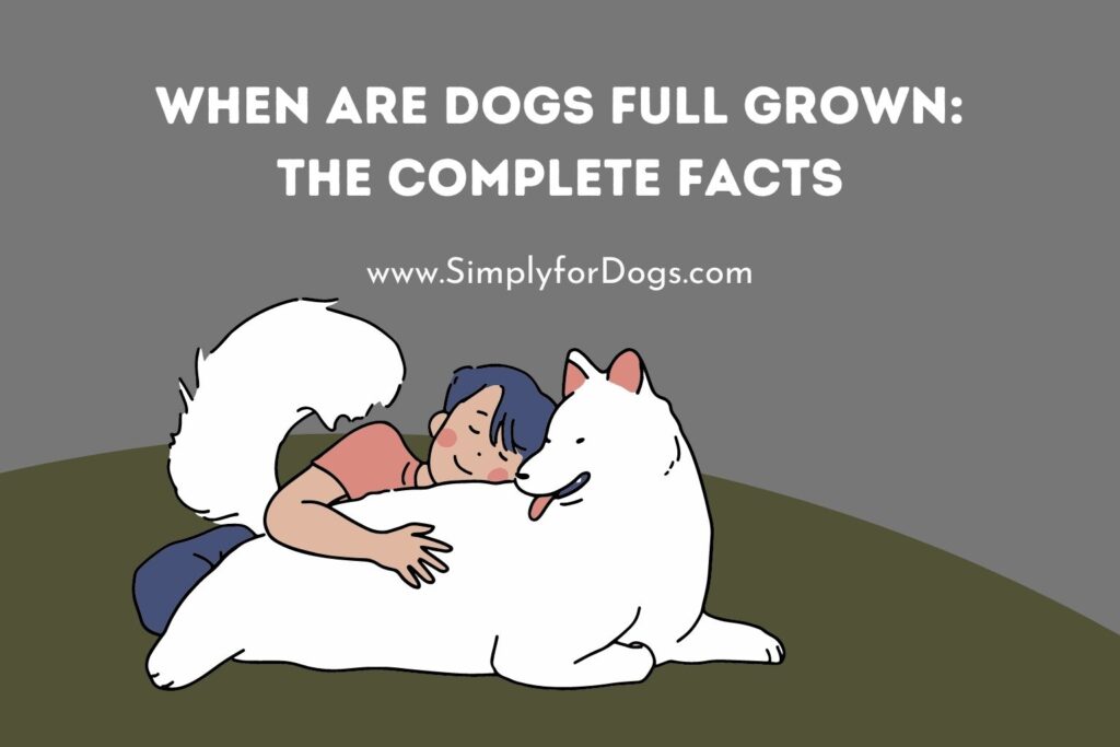 When are Dogs Full Grown The Complete Facts (Growth Suggestion)