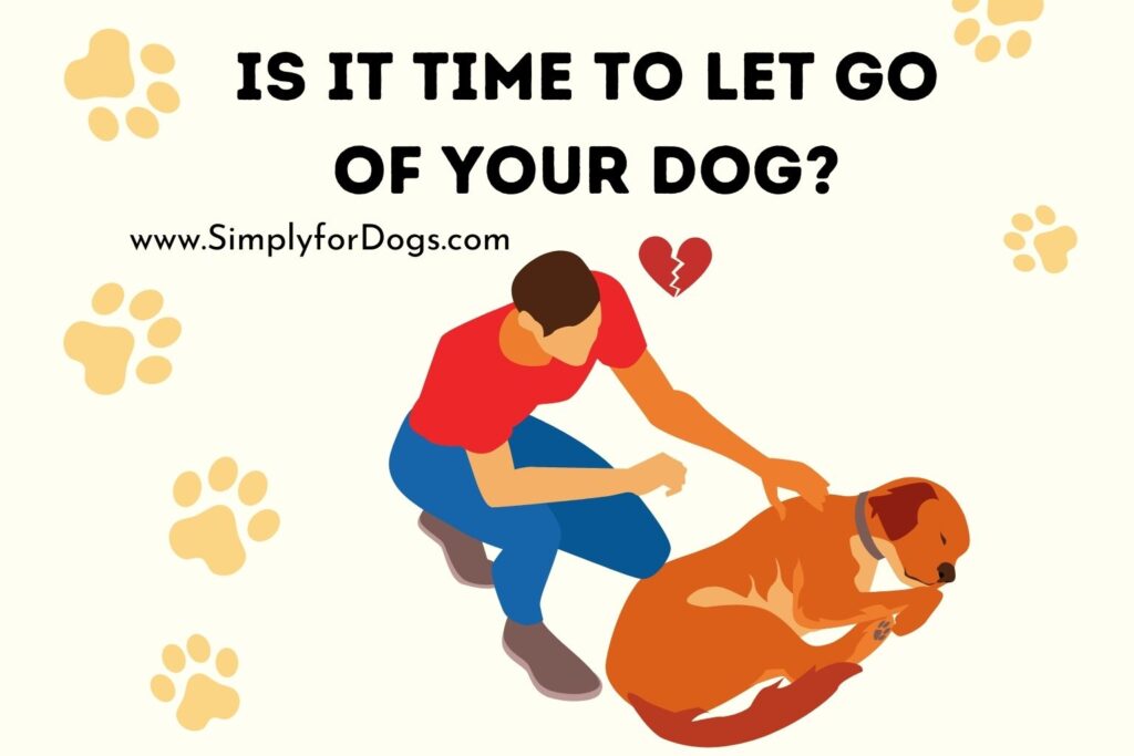 is-it-time-to-let-go-of-your-dog-the-harsh-reality-simply-for-dogs