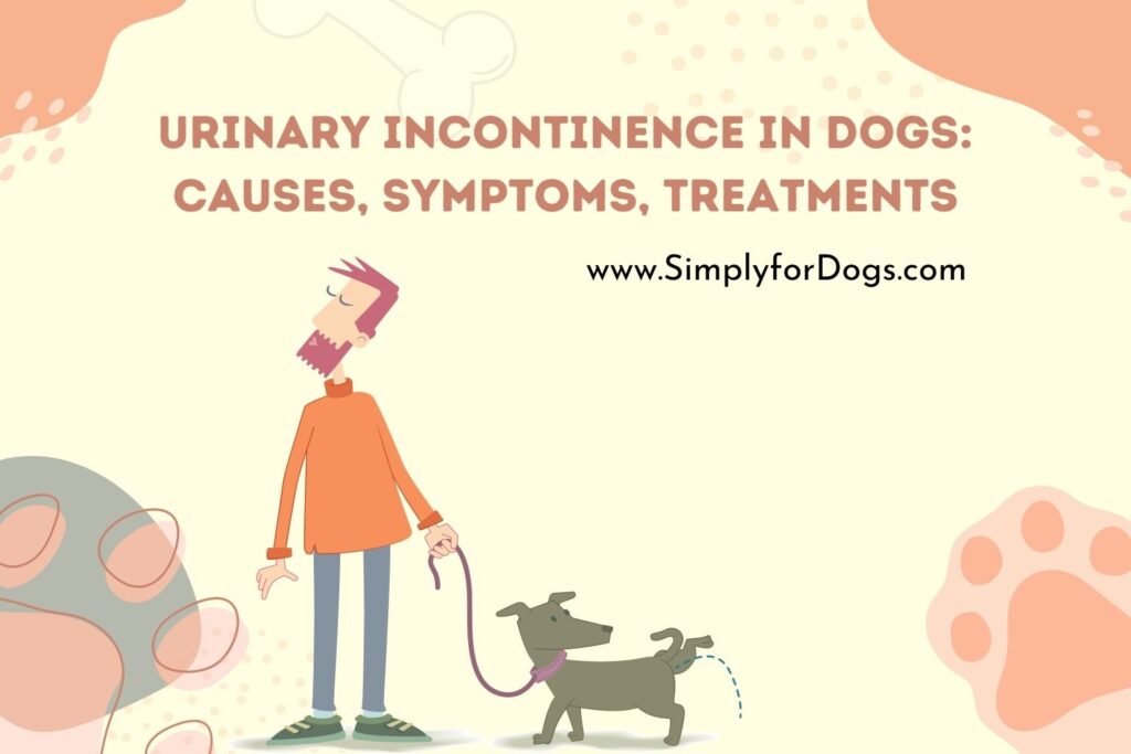 urinary-incontinence-in-dogs-causes-symptoms-treatments-ultimate