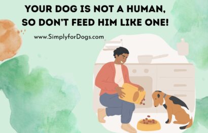 ﻿Your Dog is Not a Human, So Don’t Feed Him Like One!