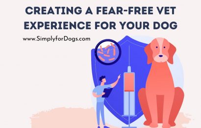 Creating a Fear-Free Vet Experience for Your Dog