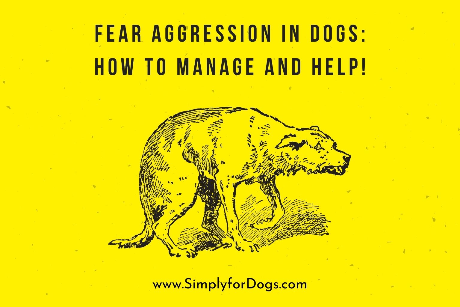 Fear Aggression in Dogs_ How to Manage and Help!