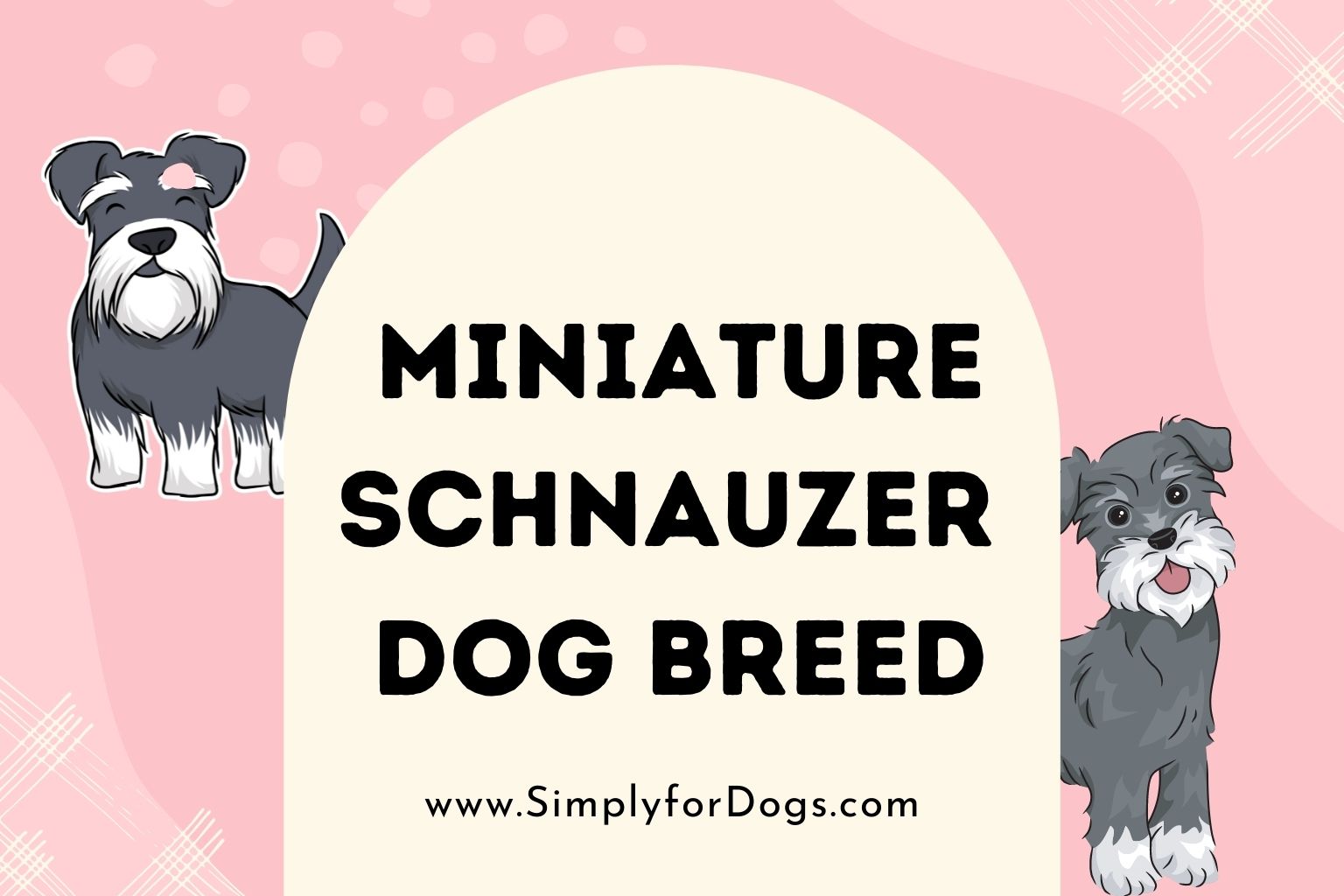 Miniature Schnauzer Dog Breed