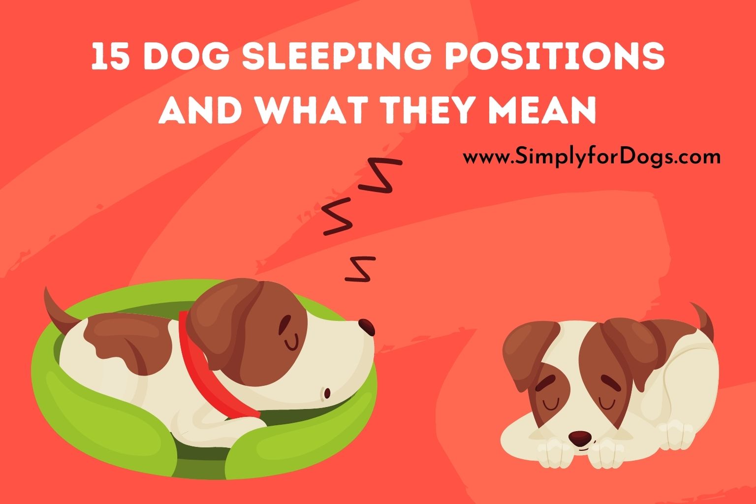 15 Dog Sleeping Positions and What They Mean