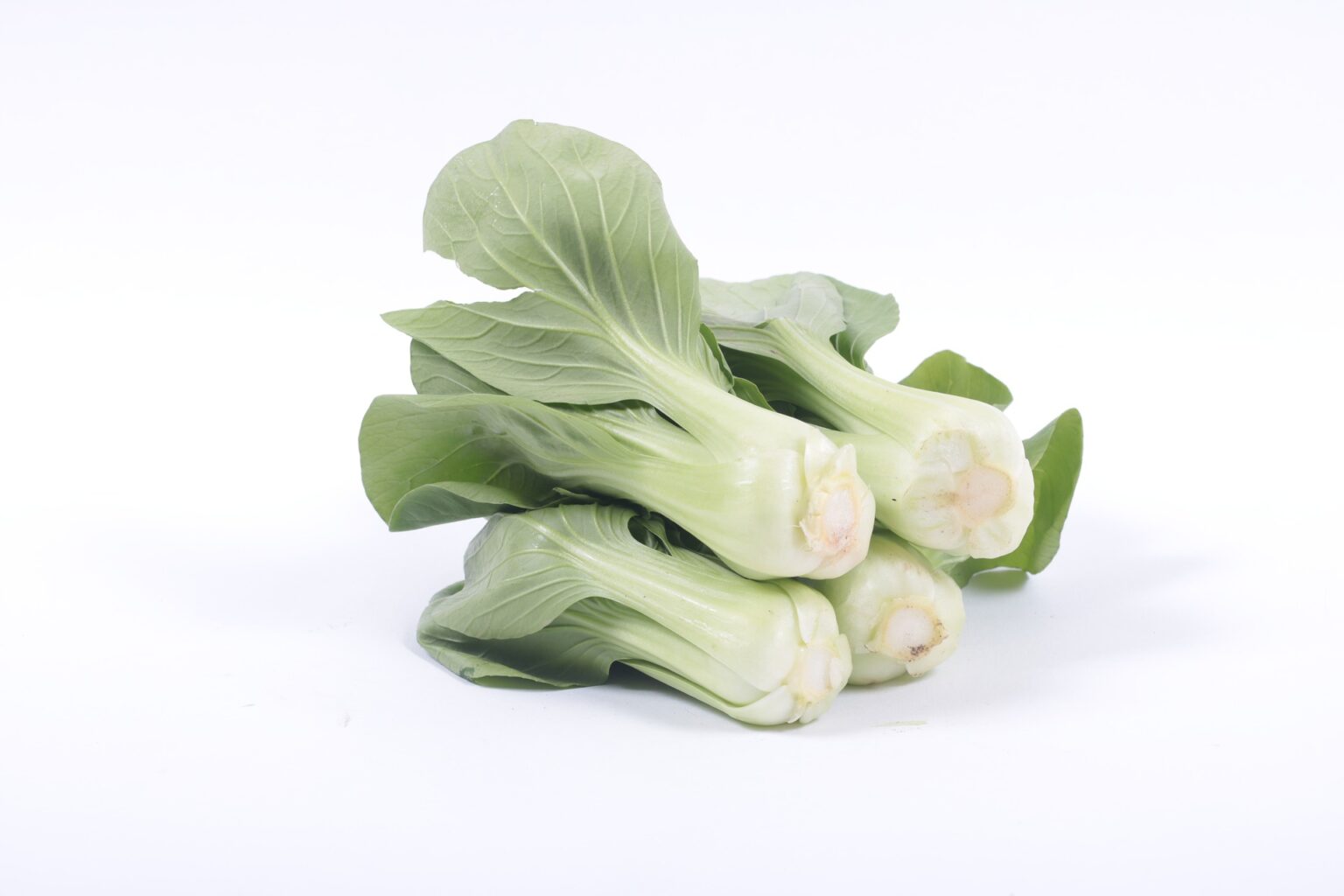 Can-Dogs-Eat-Bok-Choy - Simply For Dogs