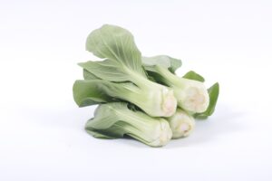 Can Dogs Eat Bok Choy?