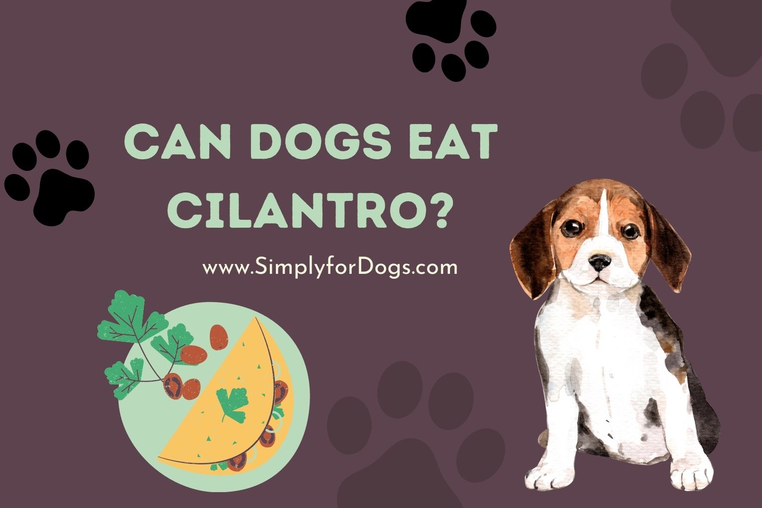 Can Dogs Eat Cilantro