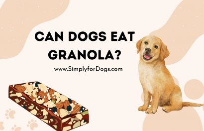 Can Dogs Eat Granola