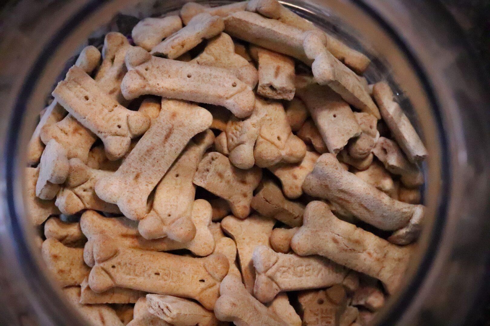 Dog Biscuits