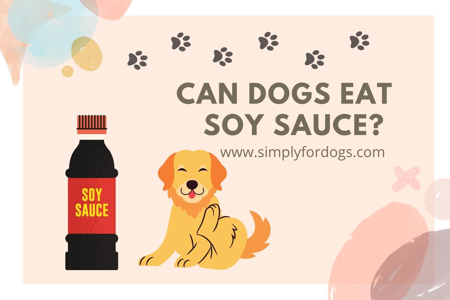 will soy sauce hurt dogs