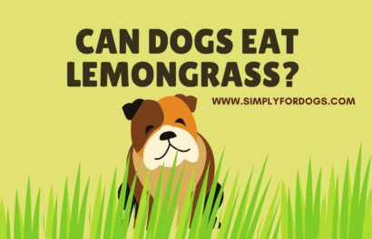 Can-Dogs-Eat-Lemongrass