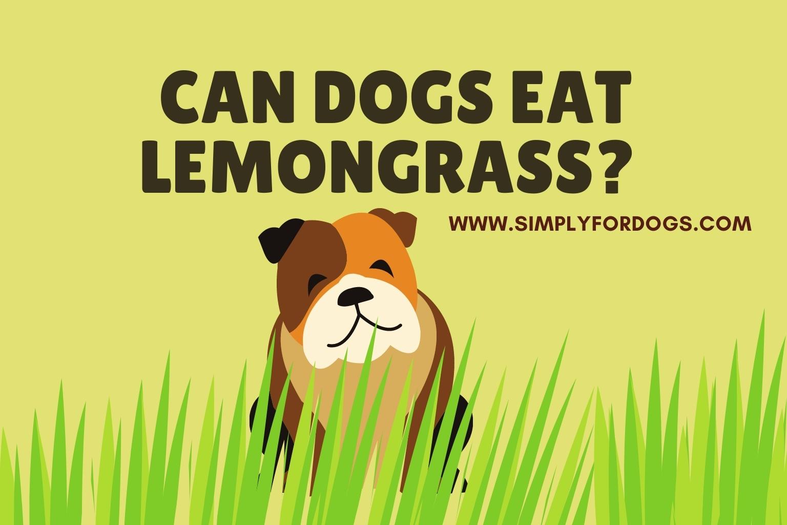 is lemongrass poisonous to dogs