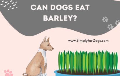 Can Dogs Eat Barley