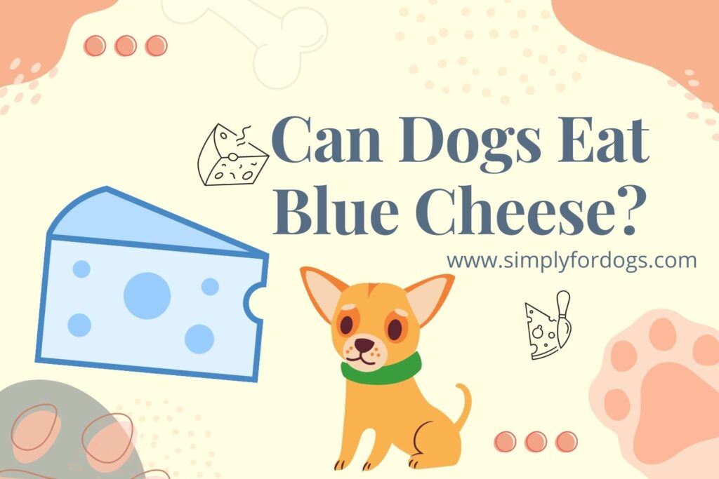 Can Dogs Eat Blue Cheese Simple Guide