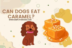 Can-Dogs-Eat-Caramel