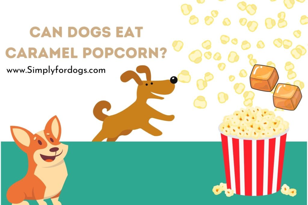 Can Dogs Eat Caramel Popcorn? Simply For Dogs