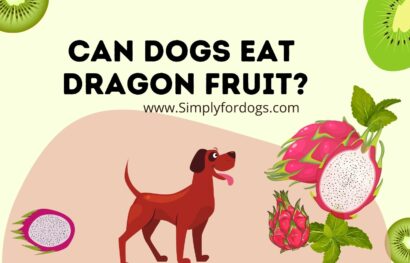 Can-Dogs-Eat-Dragon-Fruit