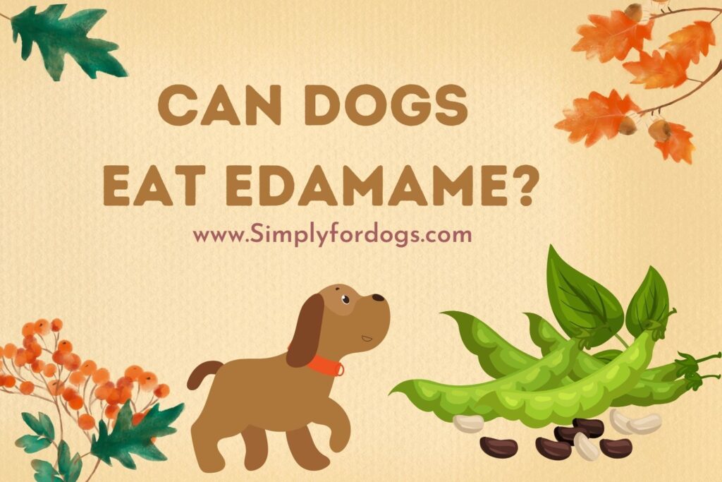 Can Dogs Eat Edamame? Simply For Dogs