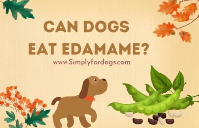 Can-Dogs-Eat-Edamame