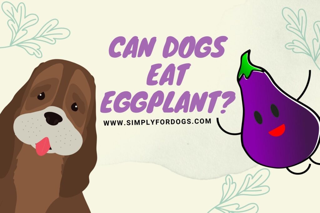 Can Dogs Eat Eggplant The Ultimate Guide