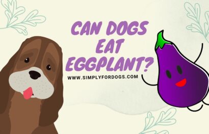 Can-Dogs-Eat-Eggplant