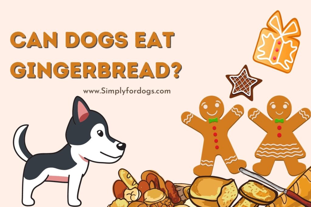 Can Dogs Eat Gingerbread? (Is It Dangerous?) Simply For Dogs