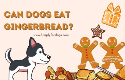 Can-Dogs-Eat-Gingerbread