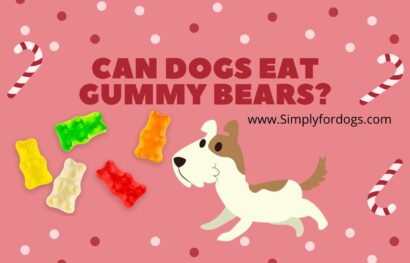 Can-Dogs-Eat-Gummy-Bears