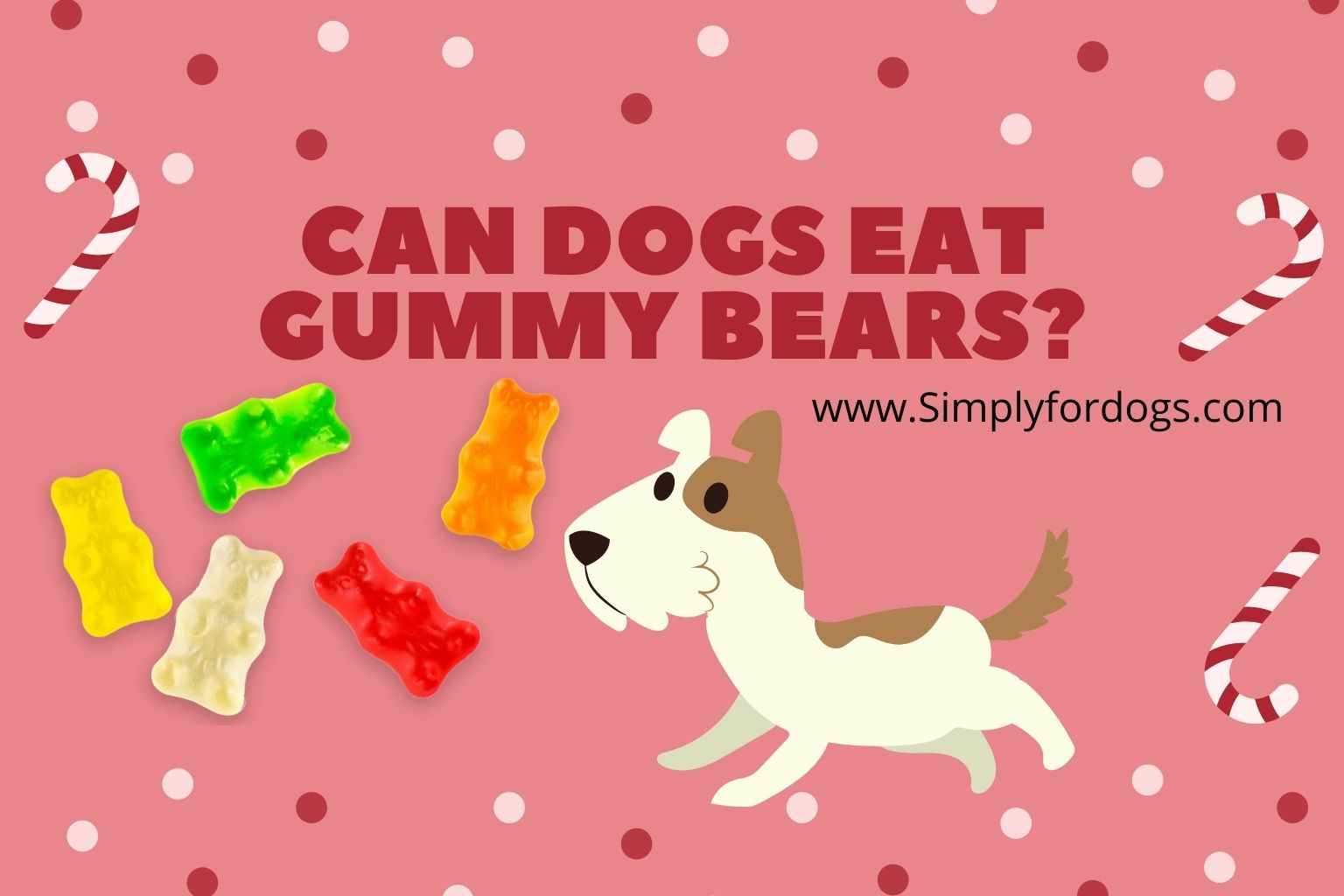 are gummy worms bad for dogs