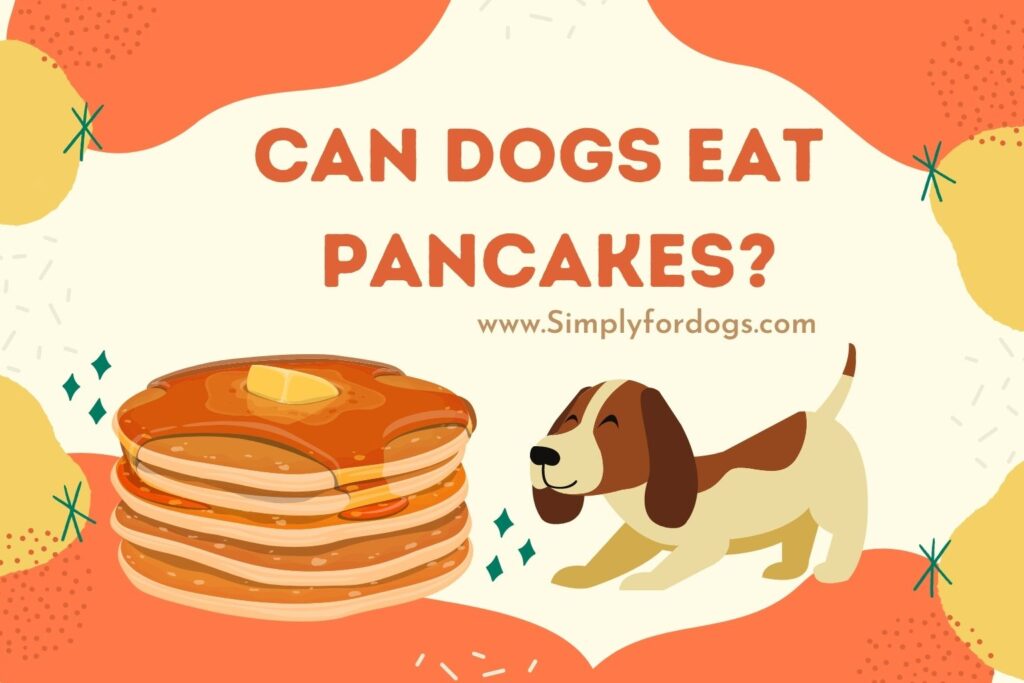CanDogsEatPancakes Simply For Dogs