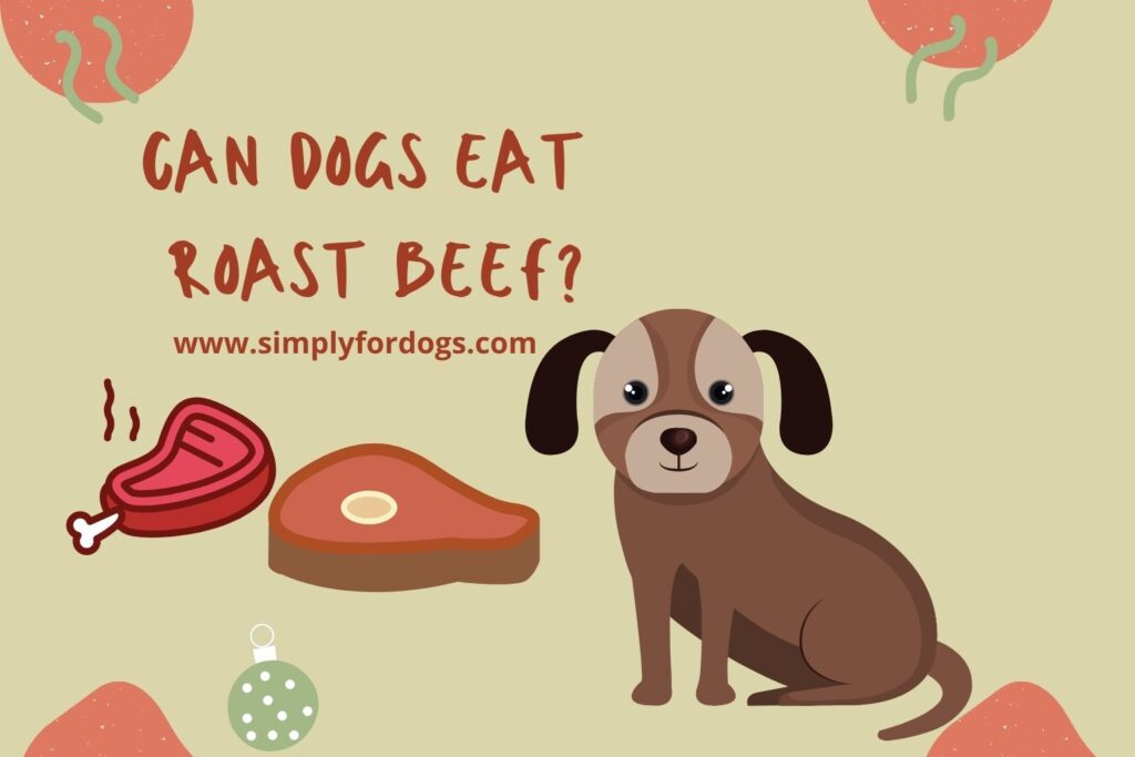 Can Dogs Eat Roast Beef - All You Need to Know