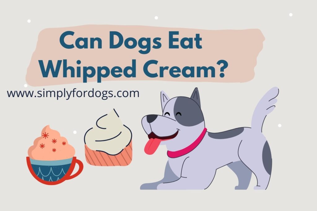 Can Dogs Eat Whipped Cream [Simple Guide from Expert]
