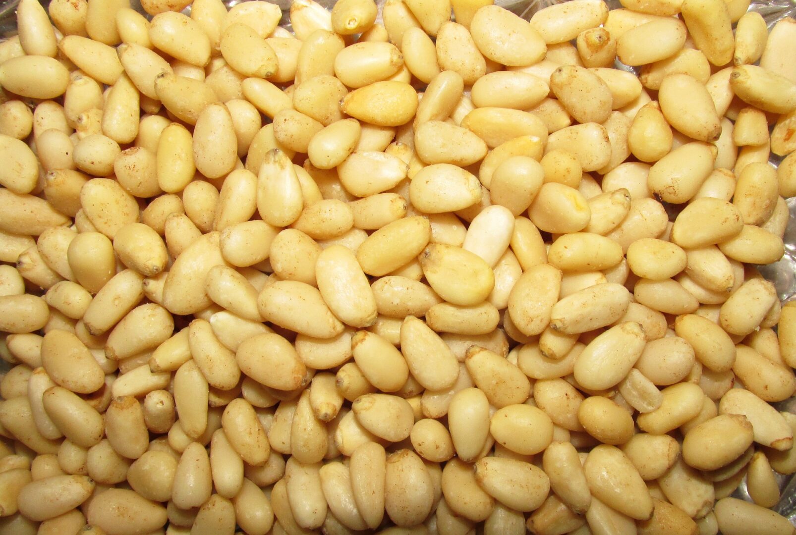 are pine nuts safe for dogs
