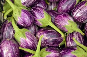 Can Dogs Eat Eggplant: Get the Facts!