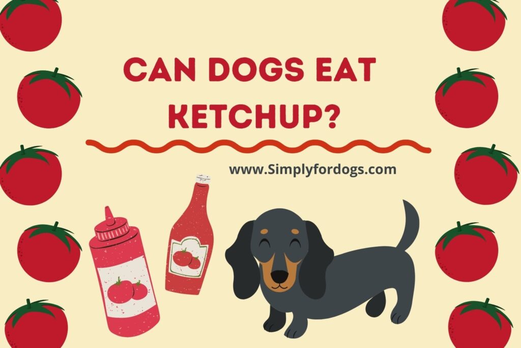 Can Dogs Eat Ketchup? Simply For Dogs