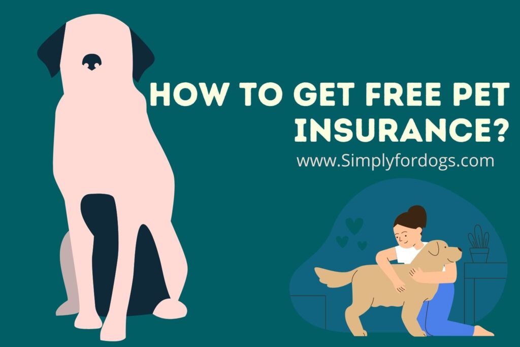 How To Get Free Pet Insurance? 16 Companies To Look Into!