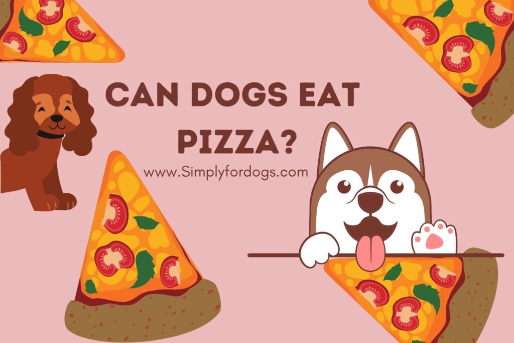 Can Dogs Eat Pizza? [The Answer will Shock You] Simply For Dogs