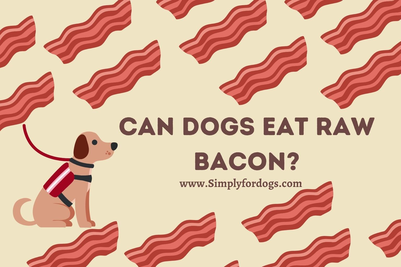 Is raw bacon safe for outlet dogs