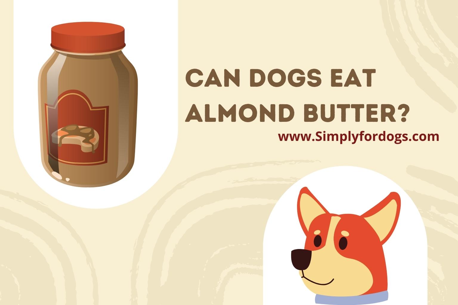 Can Dogs Eat Almond Butter? (Is It Dangerous?) Simply For Dogs