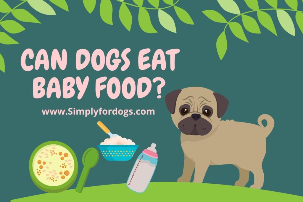 Can Dogs Eat Baby Food? (The Answer will Surprise You)