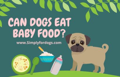 can-dogs-eat-baby-food