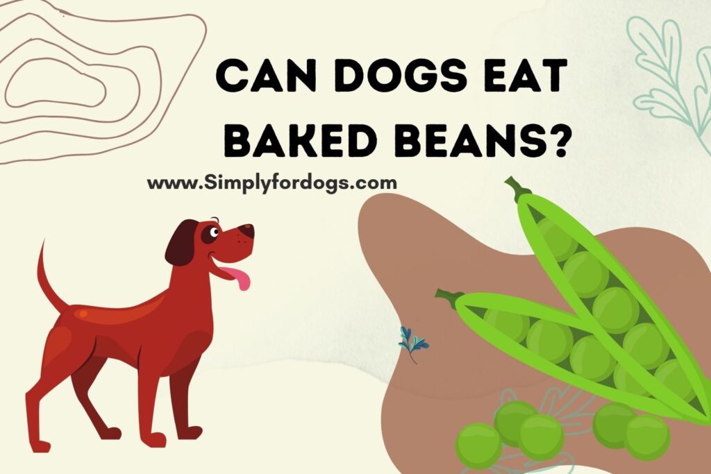 can-dogs-eat-baked-beans-serving-size-nutrition-facts