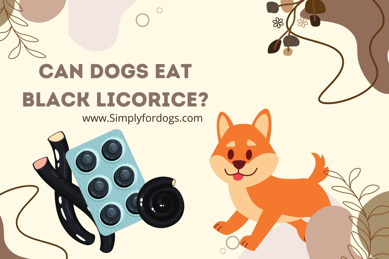 Can Dogs Eat Black Licorice? (Is It Dangerous or Not?)