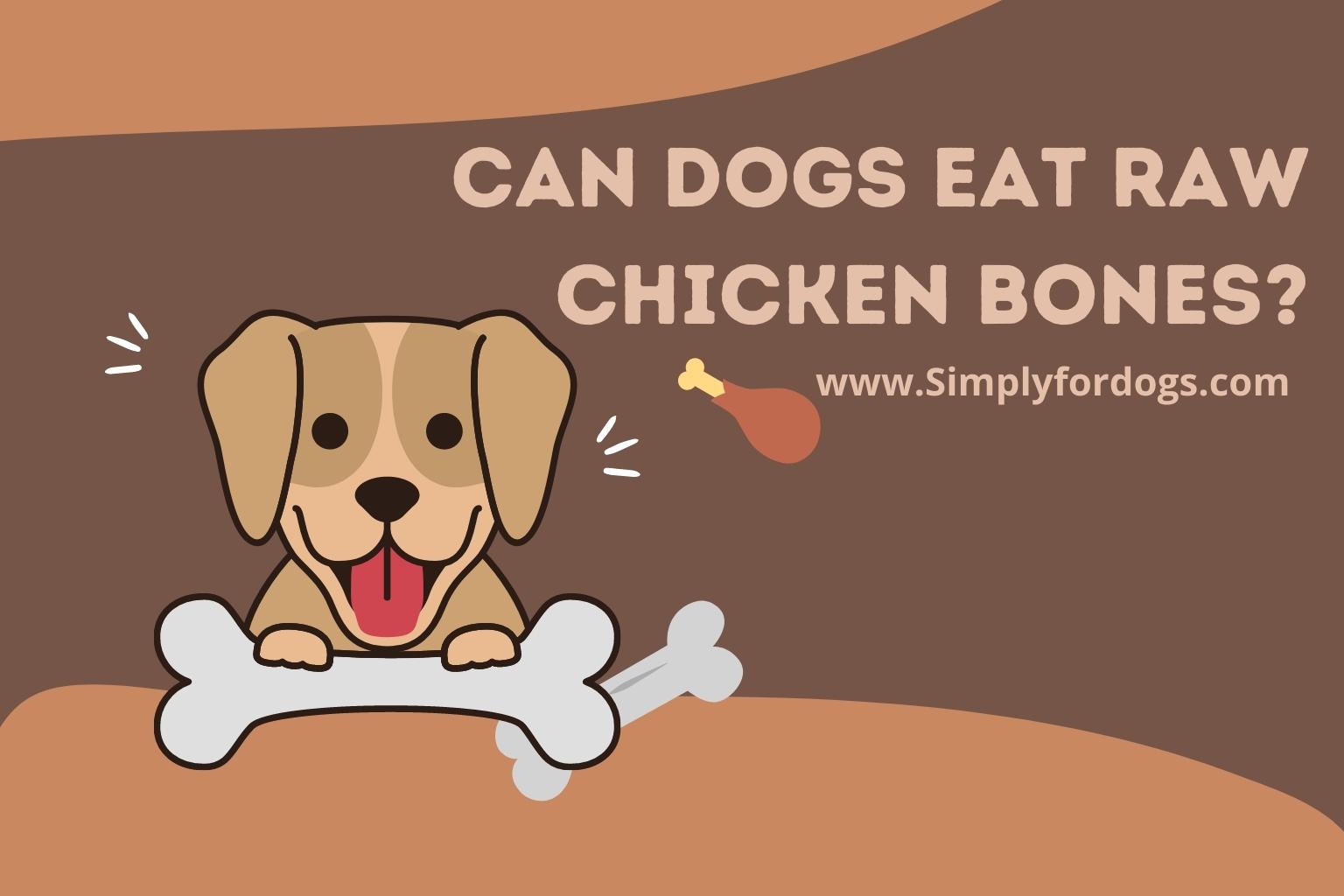 can-dogs-eat-raw-chicken-bones