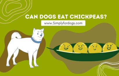 can-dogs-eat-chickpeas