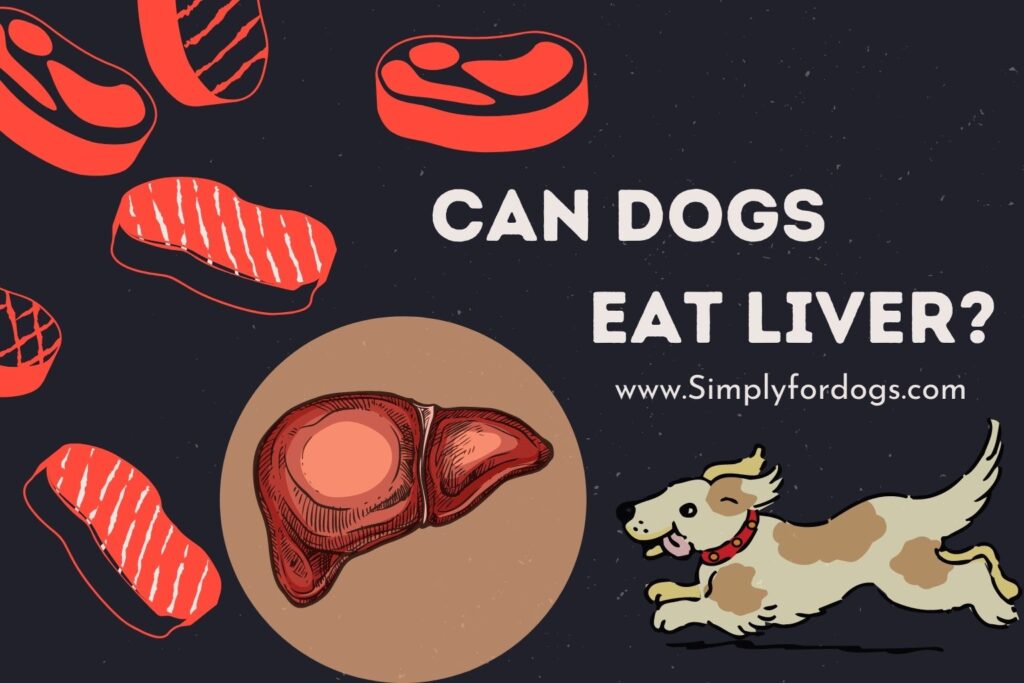 Can Dogs Eat Liver? - Simply For Dogs