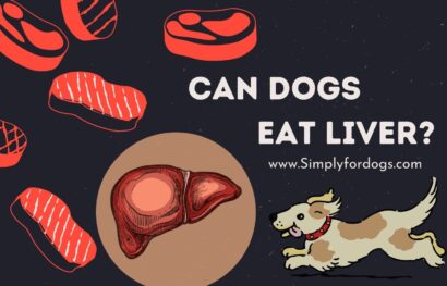 can-dogs-eat-liver