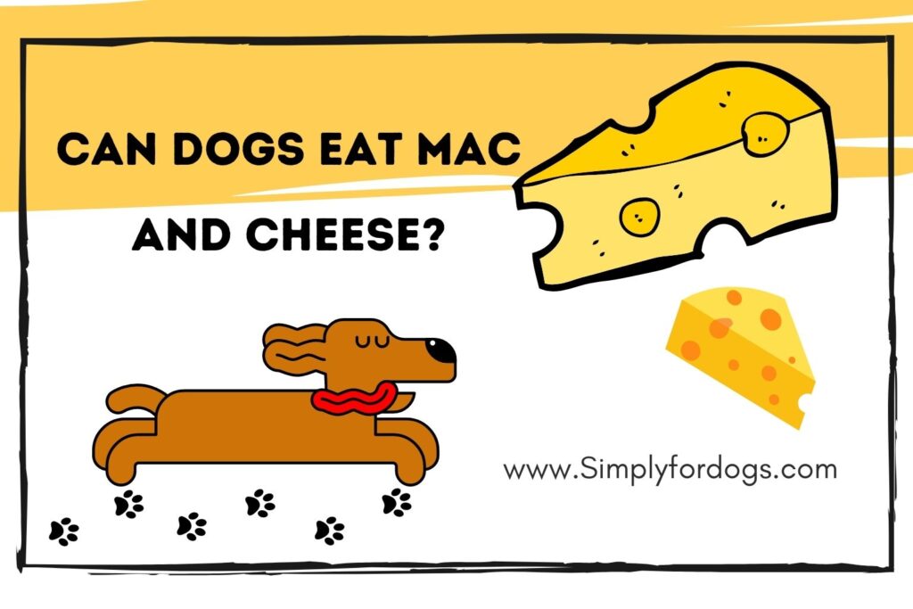 Can Dogs Eat Mac and Cheese? [Is It Dangerous?] Simply For Dogs