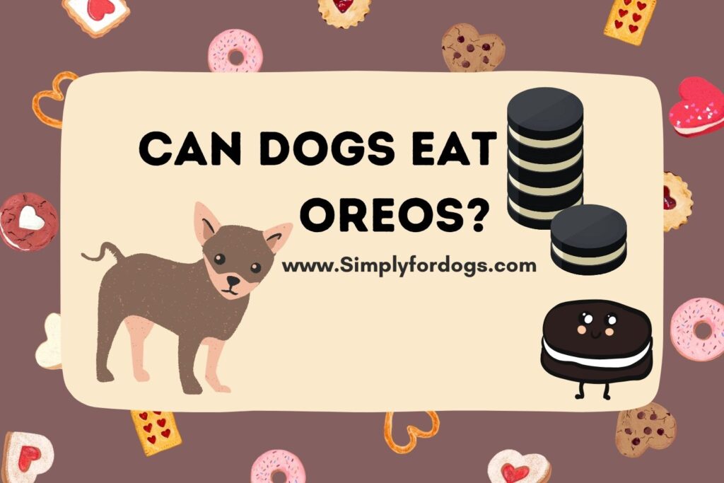 Can Dogs Eat Oreos? [Be Surprised] Simply For Dogs