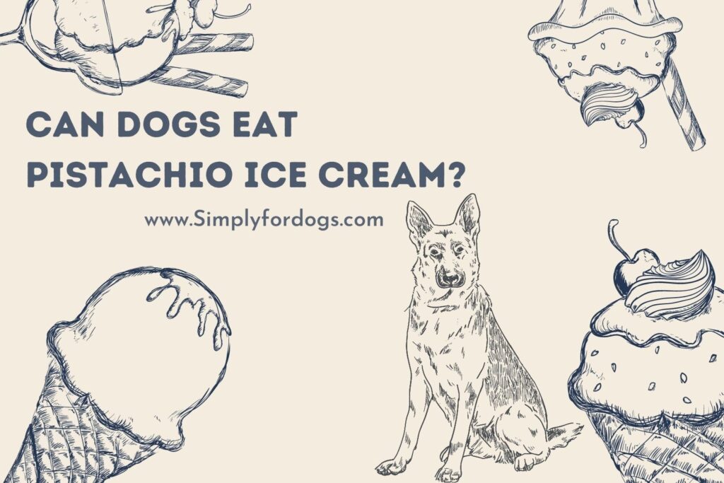 Can Dogs Eat Pistachio Ice Cream? - Simply For Dogs